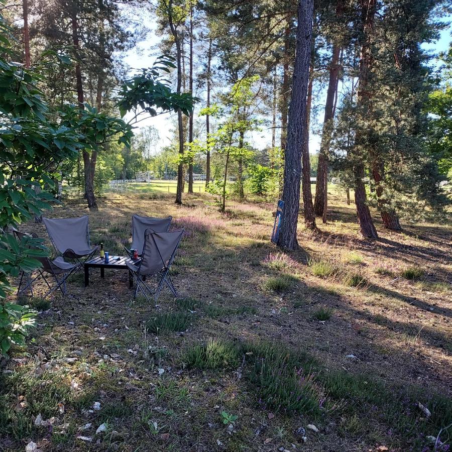 Camping Onlycamp Les Pins Nançay Kültér fotó